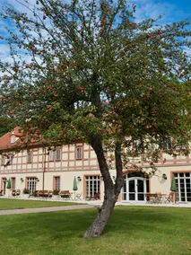 Schloss Lübbenau - Vue de la chambre