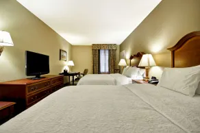 Hampton Inn Charleston-Historic District - Chambre