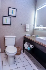Quality Inn & Suites Camarillo-Oxnard - Salle de bain