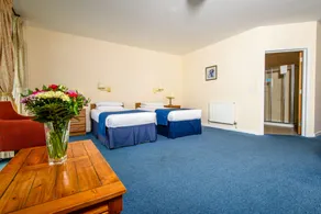 Ocean View Hotel - Chambre