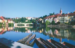 Brutsches Rebstock - Pool