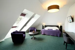 Hotel restaurant Nederheide - Chambre