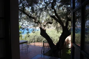 Villa degli Ulivi - Zimmer