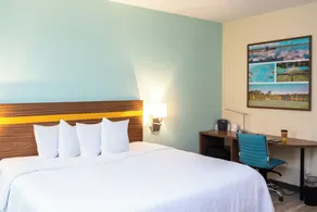SPOT X Hotel Orlando Intl Dr by The Red Collection - Room