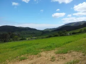 Rural Lejligheder La Torre (El Salvador de la Torre) - Udsigt fra værelset
