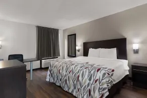 Red Roof Inn & Suites Savannah Airport - Habitación