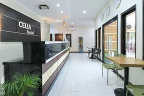 Hotel Celia - Réception