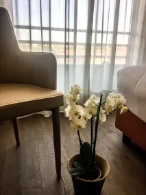Hotel Blaise & Francis - Zimmer