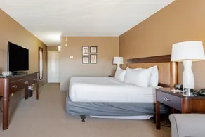 Wyndham Omaha Hotel - West Dodge - Chambre