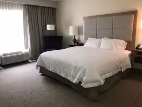 Hampton Inn & Suites Knoxville Papermill Drive - Chambre