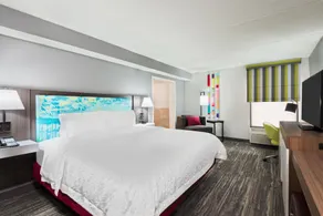 Hampton Inn Ellenton/Bradenton - Camera