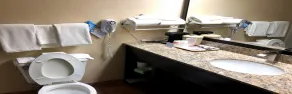 Econo Lodge Wesley Chapel I-75 - Salle de bain