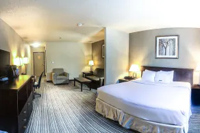 Quality Inn & Suites Yorkton - Chambre