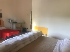 B&B Oasi Vetoio - Room