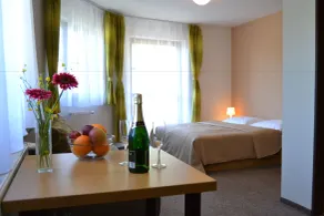 Wellness hotel Sauna - Habitación