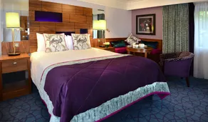 Clontarf Castle Hotel - Room