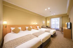 Namba Oriental Hotel - Room