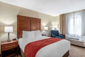 Comfort Inn & Suites Middletown - Franklin - Chambre
