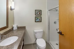 Comfort Suites Ogden Conference Center - Salle de bain