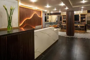 Hotel Indigo NYC Downtown - Wall Street by IHG - Réception