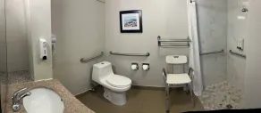 Red Roof Inn Gastonia - Salle de bain