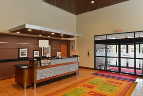 Hampton Inn Detroit/Auburn Hills South - Réception