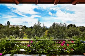 Miramare - View from room