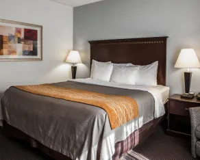 Comfort Inn & Suites Lumberton Central I-95 - Rom