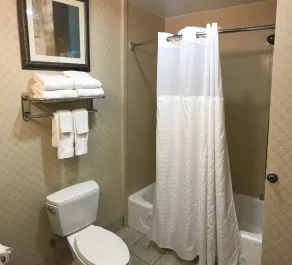 Comfort Suites Olive Branch - Memphis South - Salle de bain