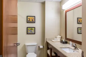 Comfort Inn Frederick - Ballenger Creek - Salle de bain