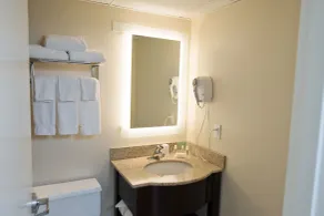 Holiday Inn Birmingham-Airport by IHG - Værelse
