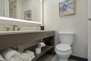 Wingate by Wyndham Macon I-75  - Salle de bain