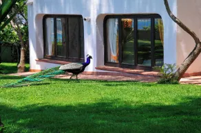 Arbatax Park Resort - Ville del Parco by Falkensteiner - Réception