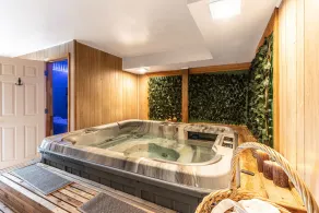 Mountain Forest Manor - Spa