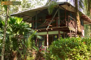 Poor Man's Paradise Lodge - Vue de la chambre