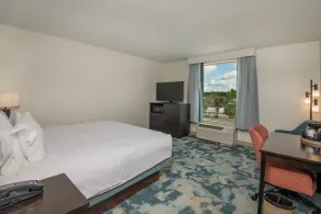 Hampton Inn Austin/Oak Hill - Værelse