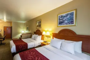 SureStay Plus Hotel by Best Western Mesquite - Chambre