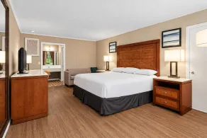 Budget Motel - Room