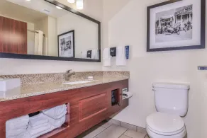 Cobblestone Hotel & Suites - Montevallo - Bathroom