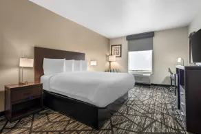 Best Western Plus McKinney Inn and Suites - Room