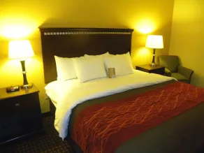 Comfort Inn & Suites Regional Medical Center - Chambre