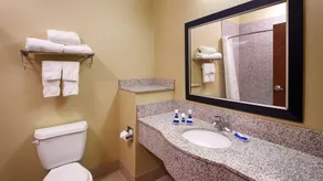 Best Western Plus Desoto Inn & Suites - Badeværelse