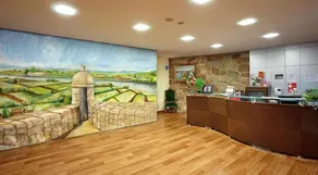 Hotel Fonte da Vila - Reception