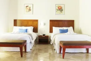Hotel Parador de Alcalá - Chambre
