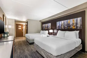 Best Western Atlanta-Marietta Ballpark Hotel - Chambre