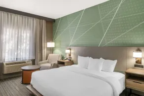 Comfort Inn & Suites Louisville Airport Fair & Expo - Chambre