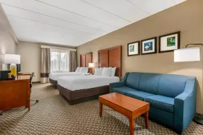 Comfort Inn & Suites Wildwood - The Villages - Chambre