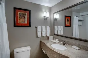 Hilton Garden Inn Augusta - Salle de bain