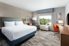 Hampton Inn Bellingham Airport - Værelse