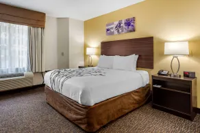Sleep Inn Henderson I-85 - Chambre